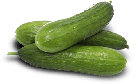 Cucumber